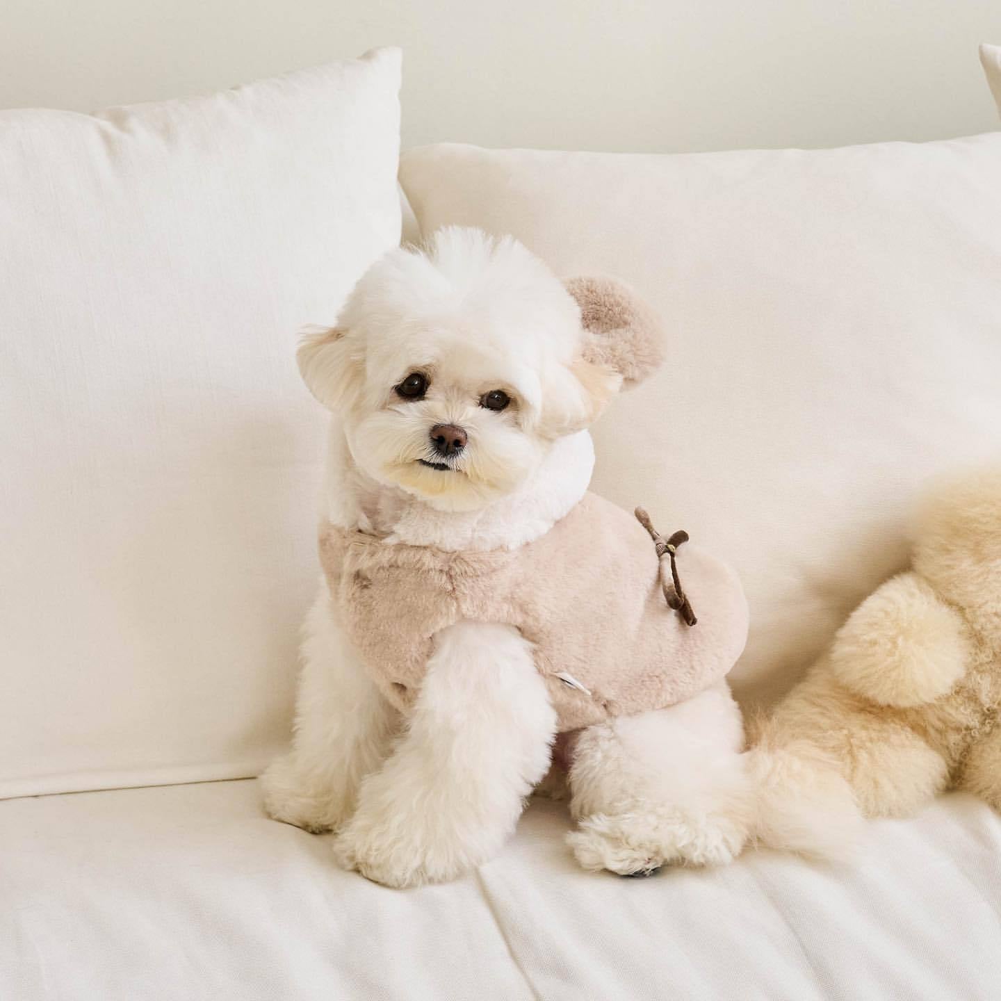 Teddy Warm Jacket – Schattige Winterjas voor Kleine Honden & Katten